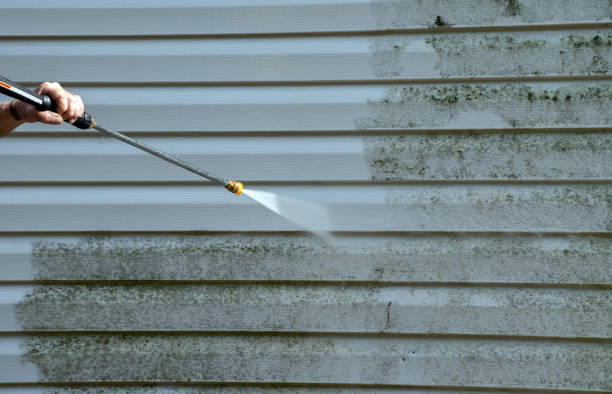 Best Affordable Power Washing  in Ravensworth, VA